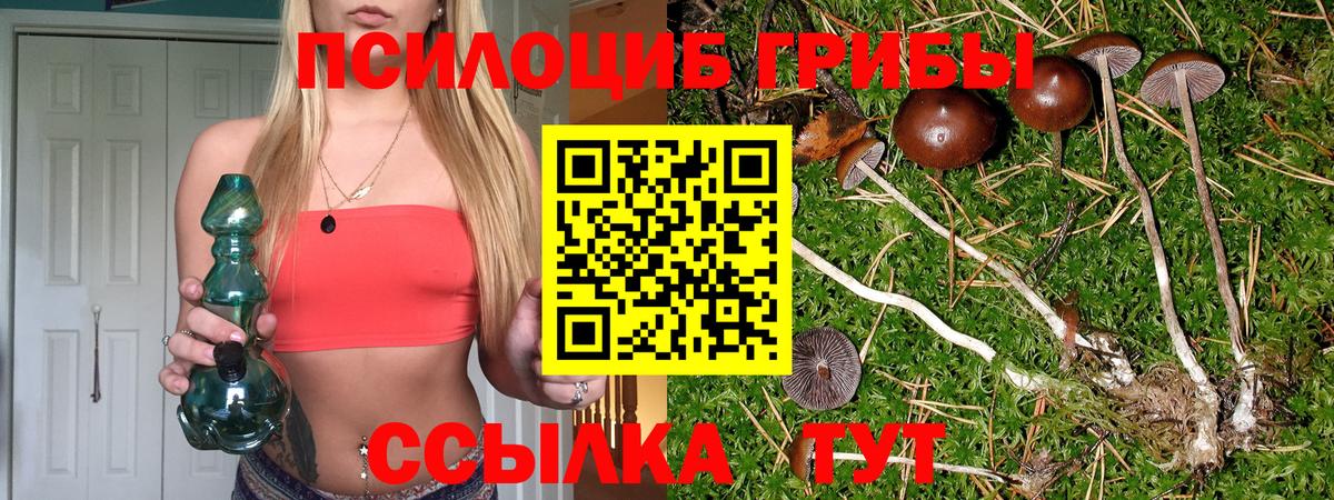 где можно купить наркотик  Вход с VPN  Михайловка  Псилоцибиновые грибы ЛСД 